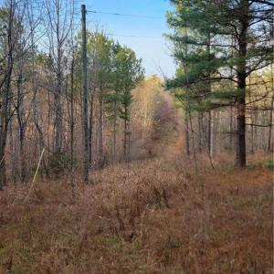 Existing Power Line on the Property for Residential Power