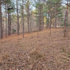 a potential building site