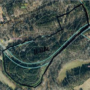 This tract has Planted Loblolly Pine and is on both sides of Bowen Road.