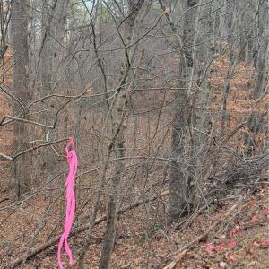 the Old Road Bed intersecting the Paved Bowen Road