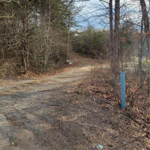 Photo #5 of 1671 Bowen, Pinnacle, NC 11.1 acres