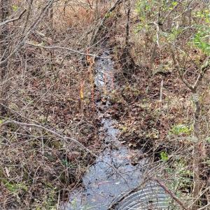 Photo #4 of 1671 Bowen, Pinnacle, NC 11.1 acres