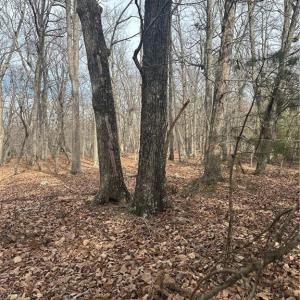 Photo #2 of 1527 Sierra Trace, Denton, NC 2.8 acres