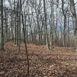 Photo #6 of 1527 Sierra Trace, Denton, NC 2.8 acres