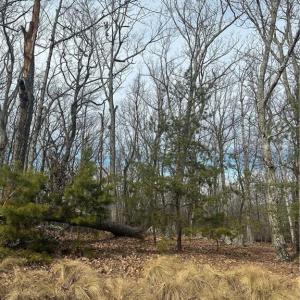 Photo #3 of 1527 Sierra Trace, Denton, NC 2.8 acres