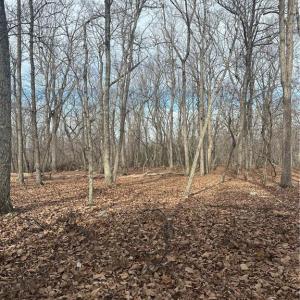 Photo #1 of 1527 Sierra Trace, Denton, NC 2.8 acres