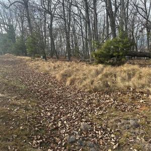 Photo #10 of 1527 Sierra Trace, Denton, NC 2.8 acres