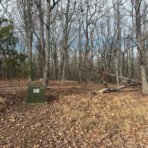 Photo #4 of 1527 Sierra Trace, Denton, NC 2.8 acres