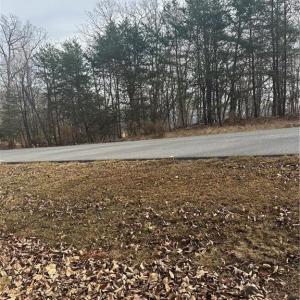Photo #8 of 1527 Sierra Trace, Denton, NC 2.8 acres