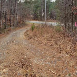 Photo #2 of 1788 Bowen, Pinnacle, NC 4.2 acres