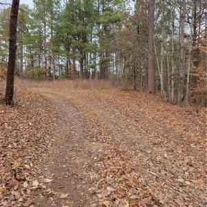 Photo #4 of 1788 Bowen, Pinnacle, NC 4.2 acres