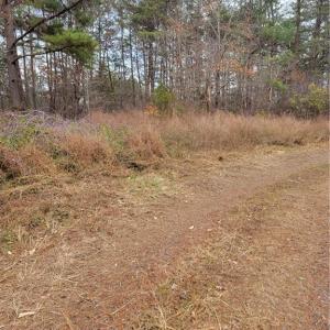 Photo #3 of 1788 Bowen, Pinnacle, NC 4.2 acres