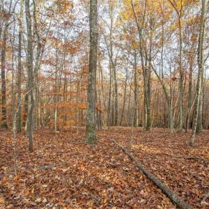 Photo #23 of Lady Mary, Stoneville, NC 374.0 acres