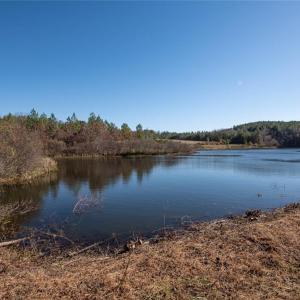 Photo #6 of Lady Mary, Stoneville, NC 374.0 acres