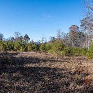 Photo #36 of Lady Mary, Stoneville, NC 374.0 acres
