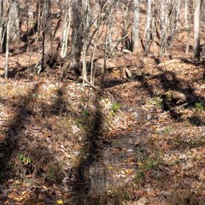 Photo #28 of Lady Mary, Stoneville, NC 374.0 acres