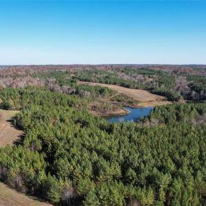 Photo #5 of Lady Mary, Stoneville, NC 374.0 acres