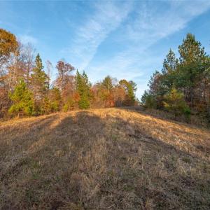 Photo #20 of Lady Mary, Stoneville, NC 374.0 acres