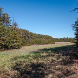 Photo #24 of Lady Mary, Stoneville, NC 374.0 acres