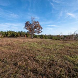 Photo #14 of Lady Mary, Stoneville, NC 374.0 acres