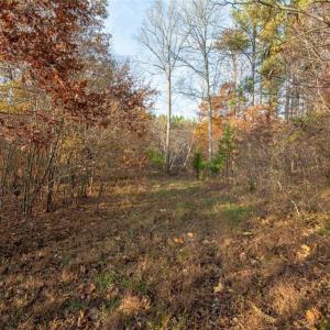 Photo #18 of Lady Mary, Stoneville, NC 374.0 acres