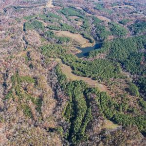 Photo #37 of Lady Mary, Stoneville, NC 374.0 acres