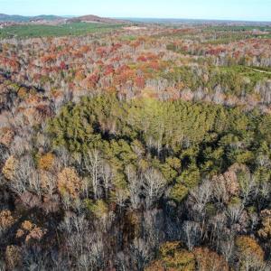 Photo #11 of Lady Mary, Stoneville, NC 374.0 acres