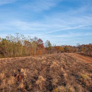 Photo #19 of Lady Mary, Stoneville, NC 374.0 acres