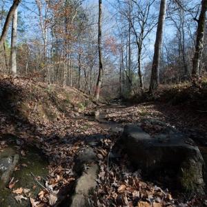 Photo #35 of Lady Mary, Stoneville, NC 374.0 acres