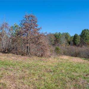 Photo #29 of Lady Mary, Stoneville, NC 374.0 acres