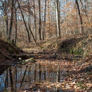 Photo #25 of Lady Mary, Stoneville, NC 374.0 acres