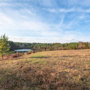 Photo #2 of Lady Mary, Stoneville, NC 374.0 acres