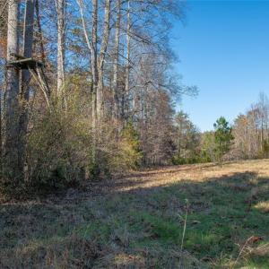 Photo #13 of Lady Mary, Stoneville, NC 374.0 acres