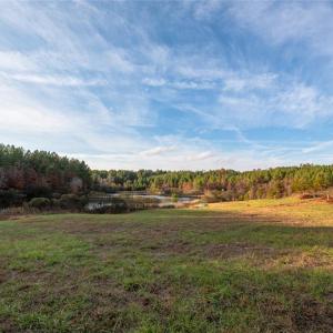 Photo #17 of Lady Mary, Stoneville, NC 374.0 acres