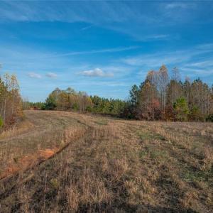 Photo #12 of Lady Mary, Stoneville, NC 374.0 acres