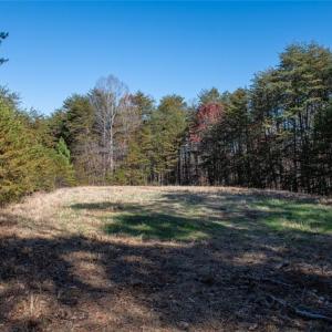 Photo #26 of Lady Mary, Stoneville, NC 374.0 acres