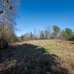Photo #34 of Lady Mary, Stoneville, NC 374.0 acres