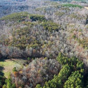 Photo #38 of Lady Mary, Stoneville, NC 374.0 acres