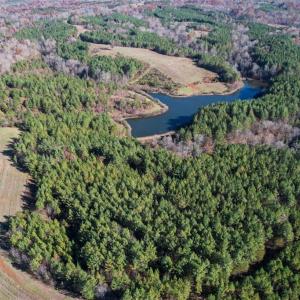 Photo #10 of Lady Mary, Stoneville, NC 374.0 acres