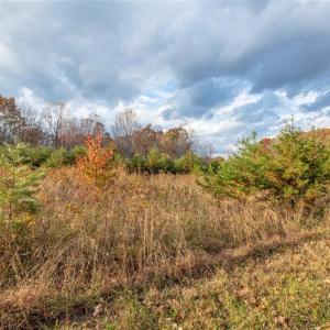 Photo #45 of Lady Mary, Stoneville, NC 374.0 acres