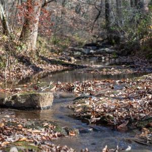 Photo #15 of Lady Mary, Stoneville, NC 374.0 acres