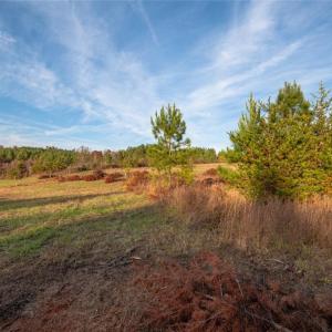 Photo #4 of Lady Mary, Stoneville, NC 374.0 acres