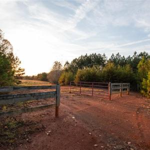 Photo #21 of Lady Mary, Stoneville, NC 374.0 acres