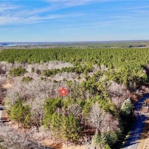 Photo #13 of 200 Harbor, Lexington, NC 4.1 acres