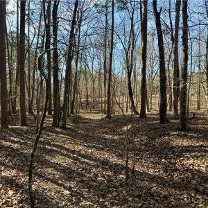 Photo #17 of 200 Harbor, Lexington, NC 4.1 acres