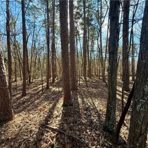 Photo #26 of 200 Harbor, Lexington, NC 4.1 acres