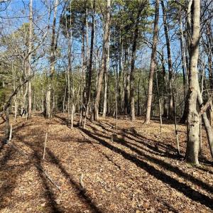 Photo #36 of 200 Harbor, Lexington, NC 4.1 acres