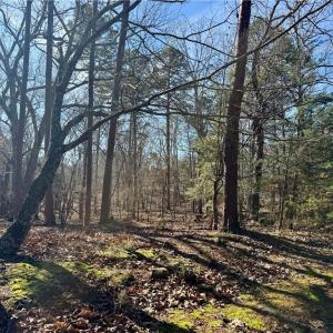 Photo #32 of 200 Harbor, Lexington, NC 4.1 acres