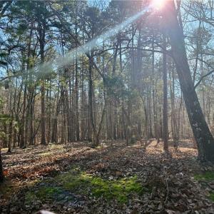 Photo #28 of 200 Harbor, Lexington, NC 4.1 acres