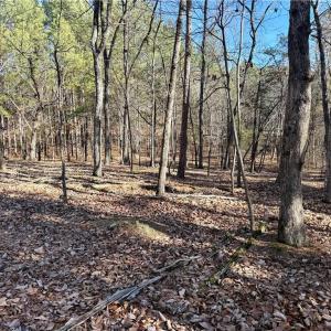 Photo #9 of 200 Harbor, Lexington, NC 4.1 acres